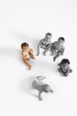 Obraz premium High angle view of baby girl looking at other babies crawling on floor