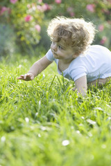 Cute baby girl crawling on grass in lawn