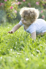 Fototapeta premium Cute baby girl crawling on grass in lawn
