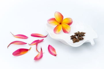 Tropical plumeria and spice in white plate and flower petal