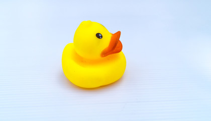 small baby duck toys in white background 
