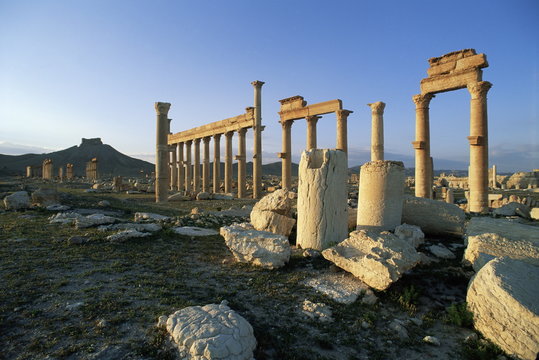 The archaeological site, Palmyra, Syria