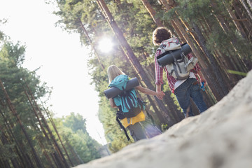 Rear view of hiking couple holding hands while walking in forest