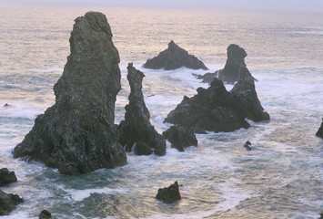 Les aiguilles de Port Coton (Port Coton needles), Belle Ile en Mer, Breton Islands, Morbihan, Brittany, France