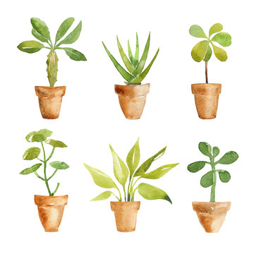 Decorative Set Of Watercolor Potted Plants Isolated On White Background. Hand Drawn Watercolor Design Elements