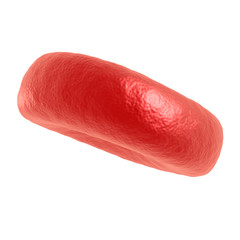 Red blood cell. 3d render isolated on white. Healthcare and medical zoom concept.