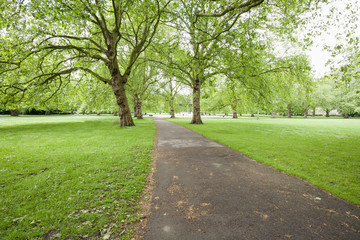 View of walkway and trees in park