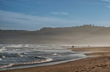 Nebelstimmung am Kap in Südafrika