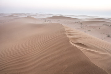 Quiet moment in desert during sunrise. Dubai, UAE.