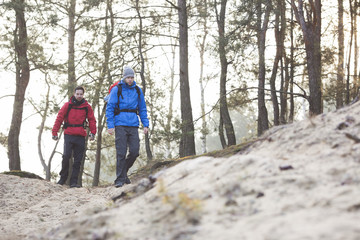 Young male backpackers hiking in forest