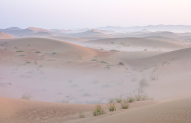Fototapeta na wymiar Quiet moment in desert during sunrise. Dubai, UAE.