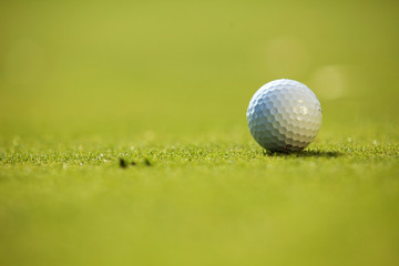 Golf ball on grass
