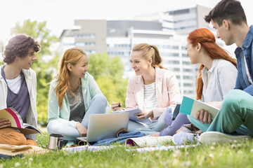 Fototapeta premium University students studying together on grass