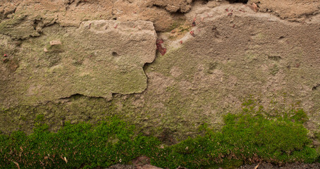 Old concrete with decal