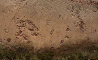 Old concrete with decal