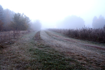 View of road on meadow