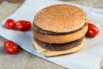 delicious American cheese burger with tomato