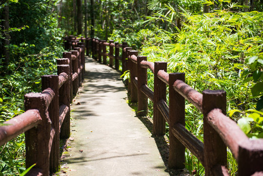 Fototapeta Concrete pathway bridge in forest