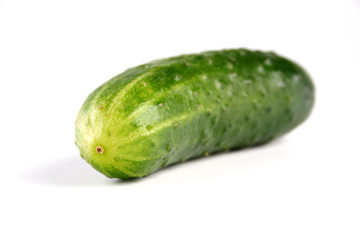 Studio shot of cucumber on white background