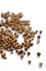 Close up of dried mustard seeds