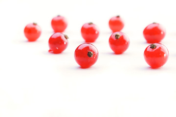 Close up of red currants