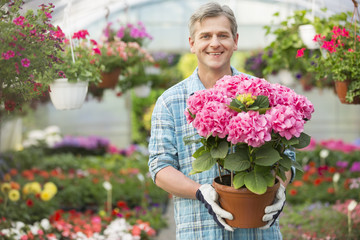 Portrait of happy gardener holding flower pot in greenhouse