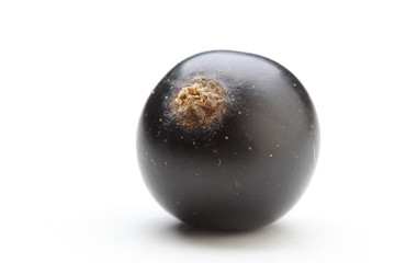Close up of black currants