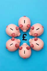 Piggy banks on blue background surrounding a GBP Symbol