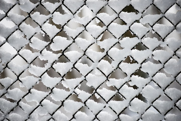 metal fence in winter