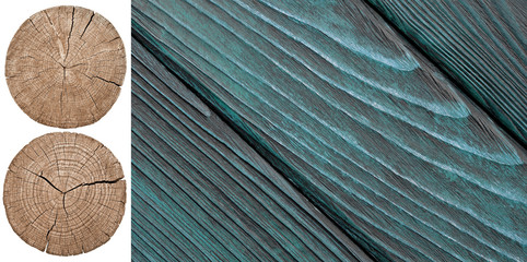 Cross section of tree trunk showing growth rings on white background. Wood texture. Lining boards...