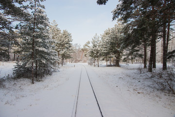 Rural landscape.Winter railway through snowy pines