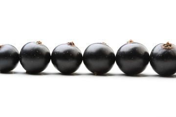 Black currants - close up