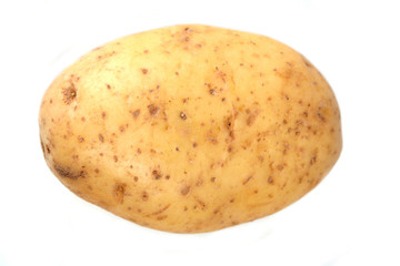 Close up of potato on white background