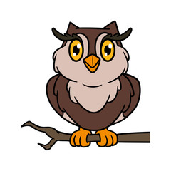 Cartoon Owl Vector Illustration
