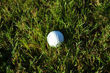 Golf ball on wet lush fairway
