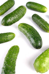 Studio shot of cucumber on white background
