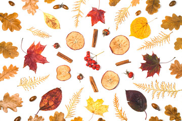 Obraz premium Autumn fall flat lay composition isolated on white background