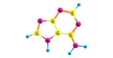 Adenine molecular structure isolated on white