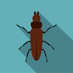 Cockroach icon. Flat illustration of cockroach vector icon for web