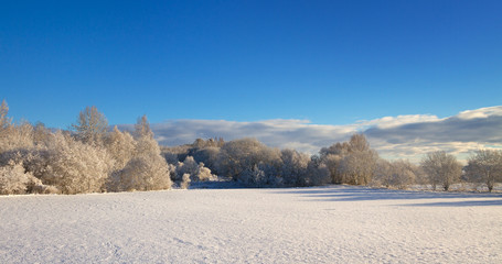 Countryside with snow.
