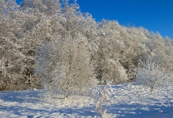 Countryside landscape in winter.