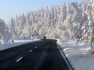Paar l&auml;uft durch verschneite WInterlandschaft