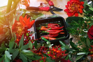 Chili peppers with red flowers