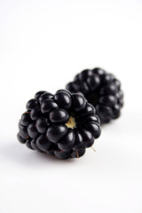 Blackberries on white background - studio shot