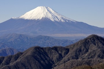 Fototapeta premium 丹沢からの富士山