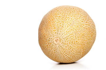 Studio shot of melons on white background