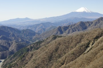 Fototapeta na wymiar 丹沢からの富士山