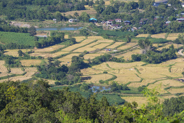 Naklejka premium view of countryside landscape in Thailand