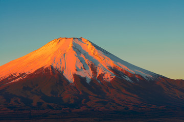 雲海に浮かぶ赤富士と松の木 