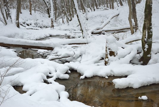 Brook in winter forest